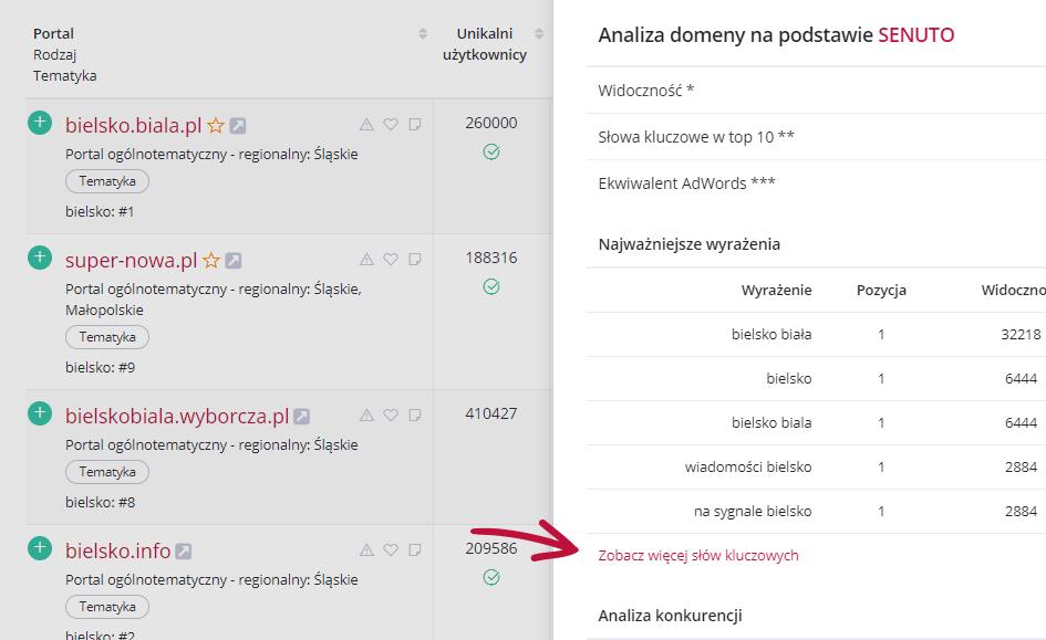 Sprawdzanie na jakie frazy rankuje strona wydawcy krok 3