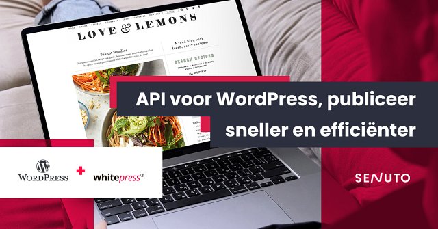 API voor WordPress
