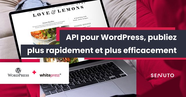 API pour WordPress